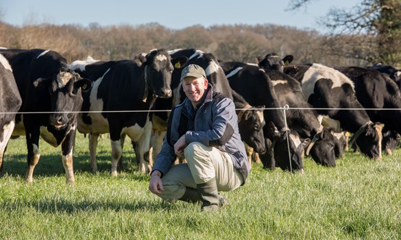 Ian Gomm kneeling in front of a herd of cows